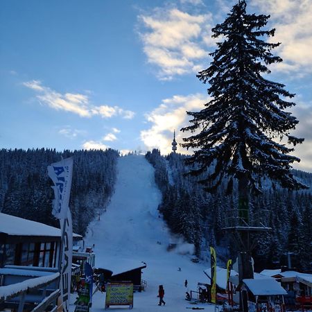 Студиа Студенец Smolyan Buitenkant foto
