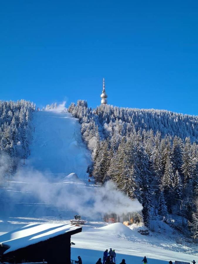 Студиа Студенец Smolyan Buitenkant foto